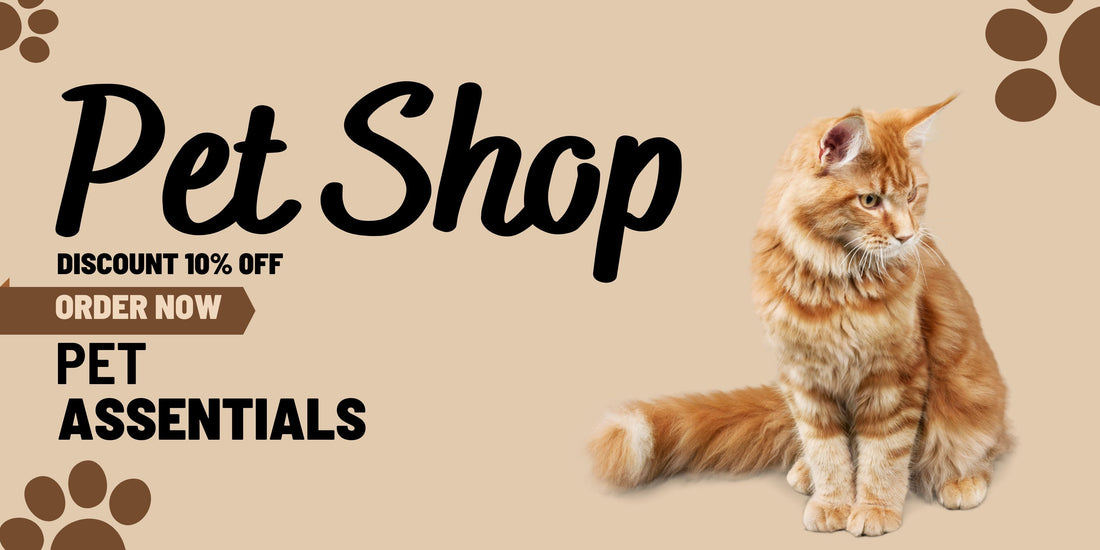 How to Make Your Pet Feel Loved Every Day