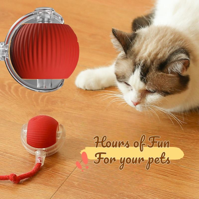 Dog & Cat Accessories,Gift for Pets,Cat Toys,Intelligent Standby,Electric Cat Ball Toy with Rope,Interactive Cat Teaser Toy,Automatic Cat Stuff