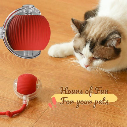Dog & Cat Accessories,Gift for Pets,Cat Toys,Intelligent Standby,Electric Cat Ball Toy with Rope,Interactive Cat Teaser Toy,Automatic Cat Stuff