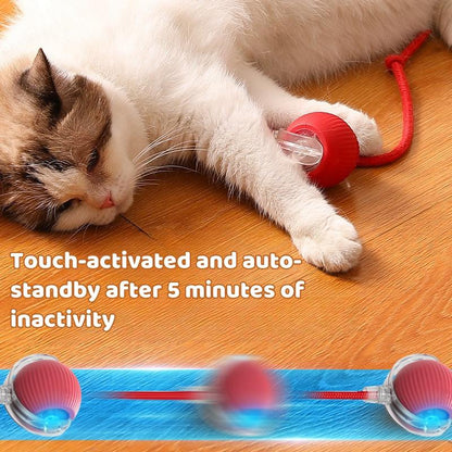 Dog & Cat Accessories,Gift for Pets,Cat Toys,Intelligent Standby,Electric Cat Ball Toy with Rope,Interactive Cat Teaser Toy,Automatic Cat Stuff